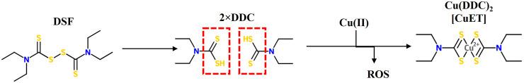 https://cdn.ncbi.nlm.nih.gov/pmc/blobs/67a2/8484884/d7b02723f2dd/fmolb-08-741316-g001.jpg