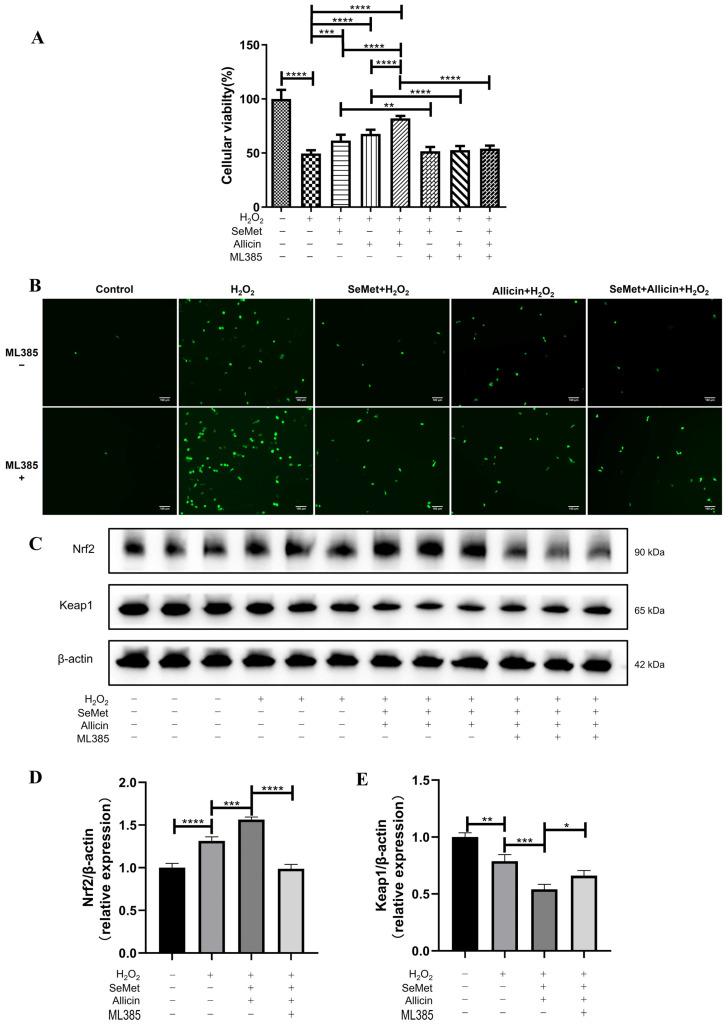 https://cdn.ncbi.nlm.nih.gov/pmc/blobs/67a3/11510923/0a981d3a1e8f/toxics-12-00719-g006.jpg