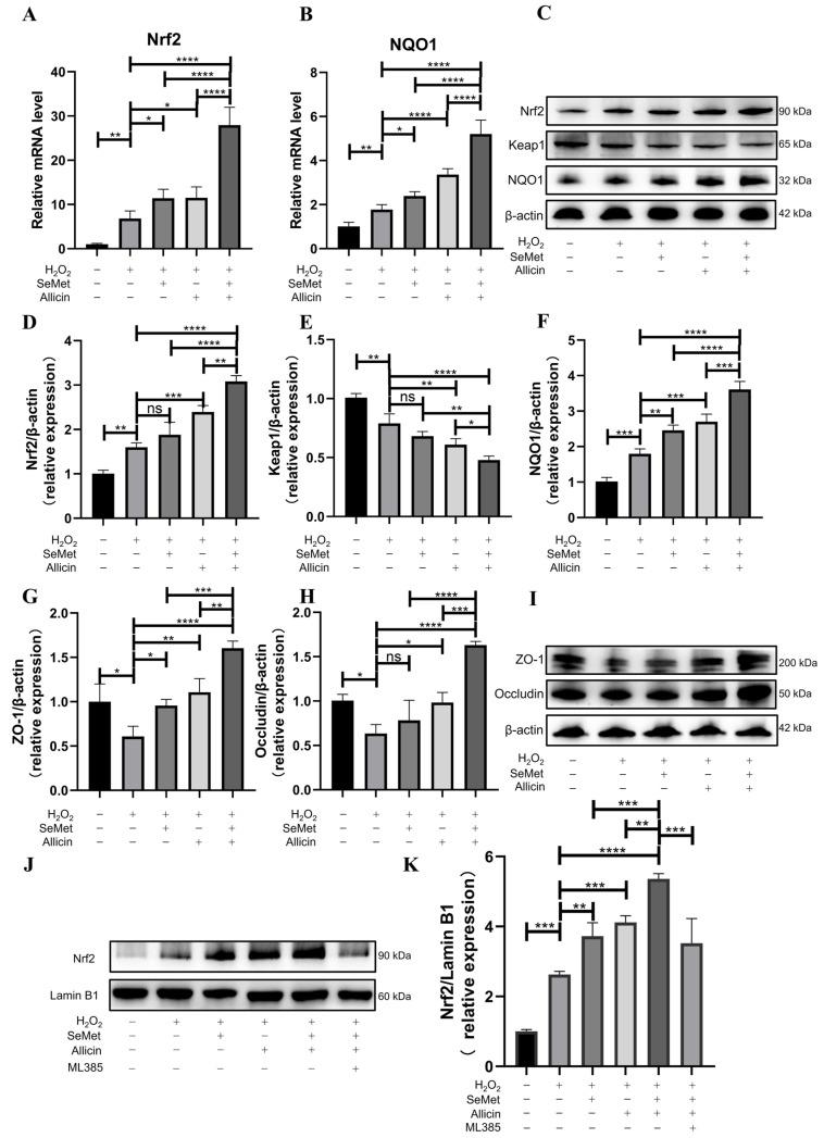 https://cdn.ncbi.nlm.nih.gov/pmc/blobs/67a3/11510923/67b9611327c1/toxics-12-00719-g004.jpg