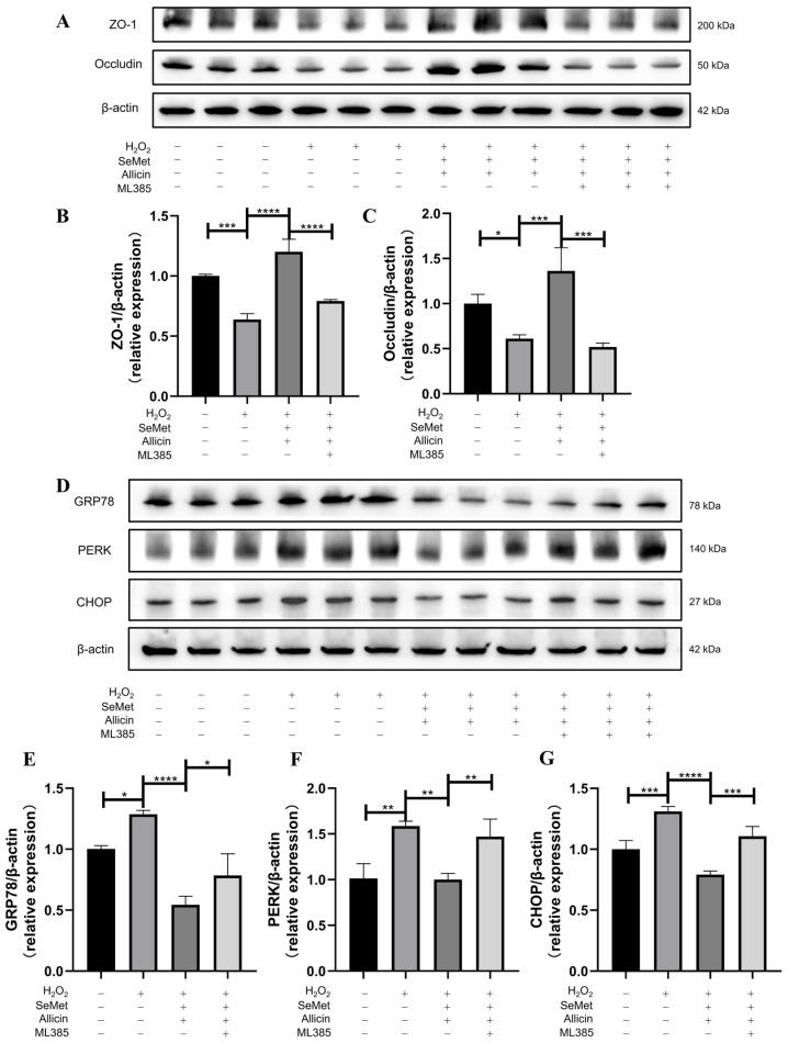 https://cdn.ncbi.nlm.nih.gov/pmc/blobs/67a3/11510923/7239e864177b/toxics-12-00719-g008.jpg