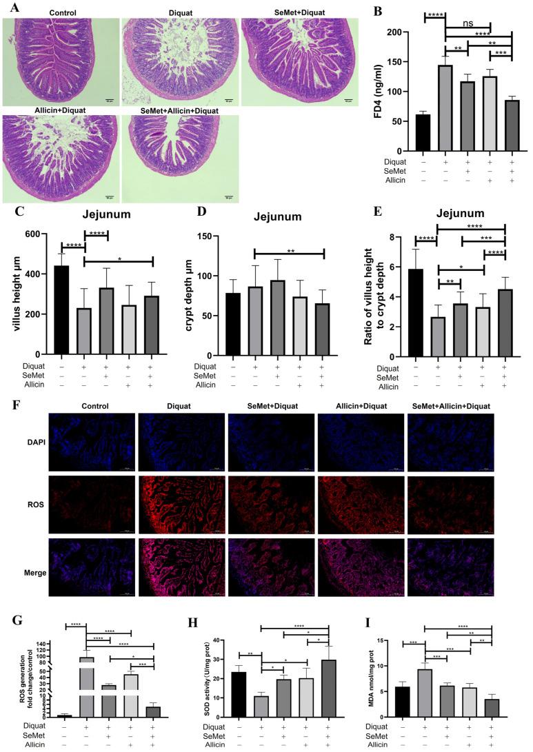 https://cdn.ncbi.nlm.nih.gov/pmc/blobs/67a3/11510923/806370992215/toxics-12-00719-g009.jpg