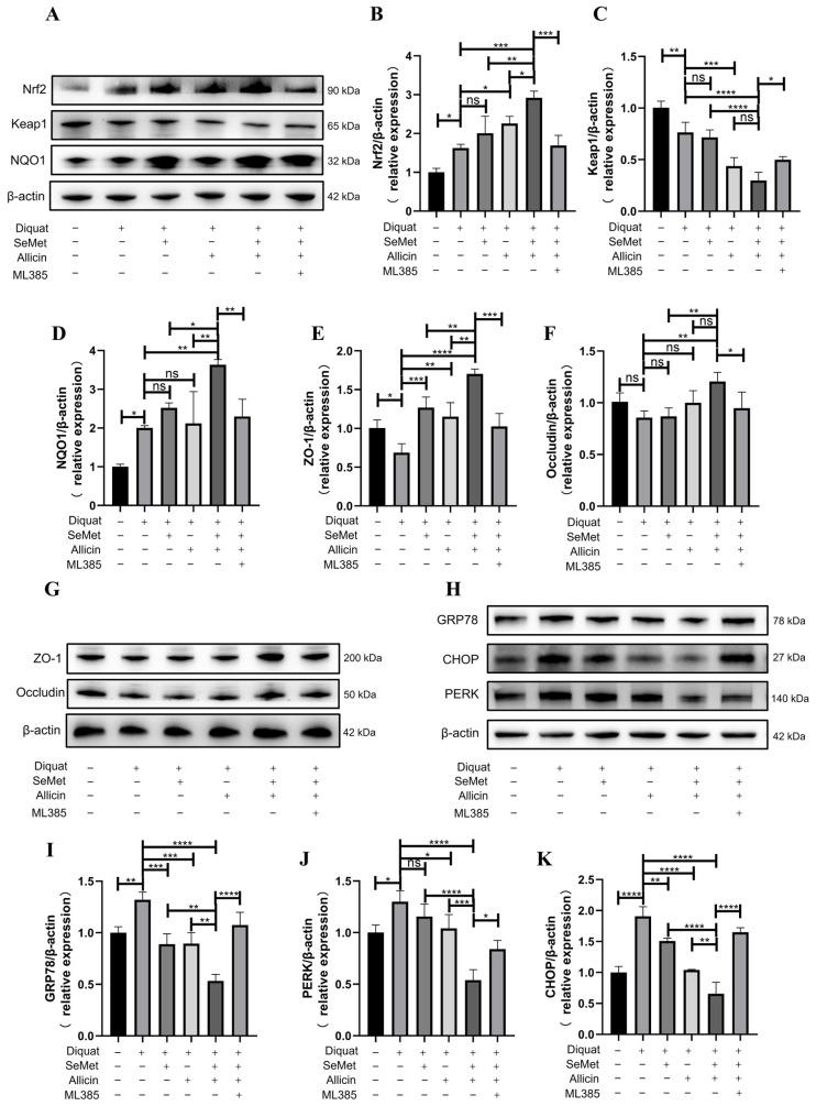 https://cdn.ncbi.nlm.nih.gov/pmc/blobs/67a3/11510923/df550a977e77/toxics-12-00719-g010.jpg