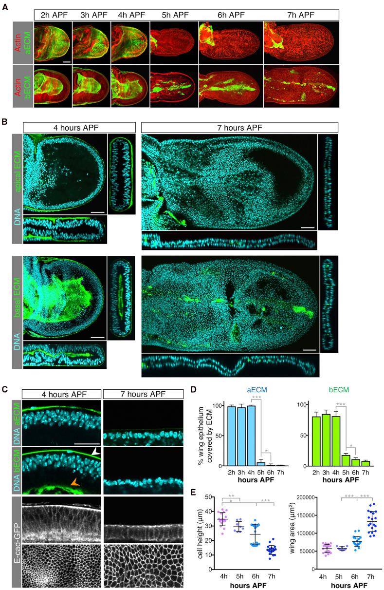 https://cdn.ncbi.nlm.nih.gov/pmc/blobs/67a3/6035286/39bcd60565fc/gr1.jpg