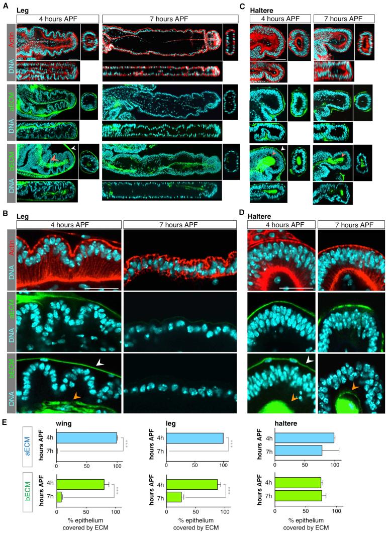 https://cdn.ncbi.nlm.nih.gov/pmc/blobs/67a3/6035286/4d69ec8049e2/gr5.jpg