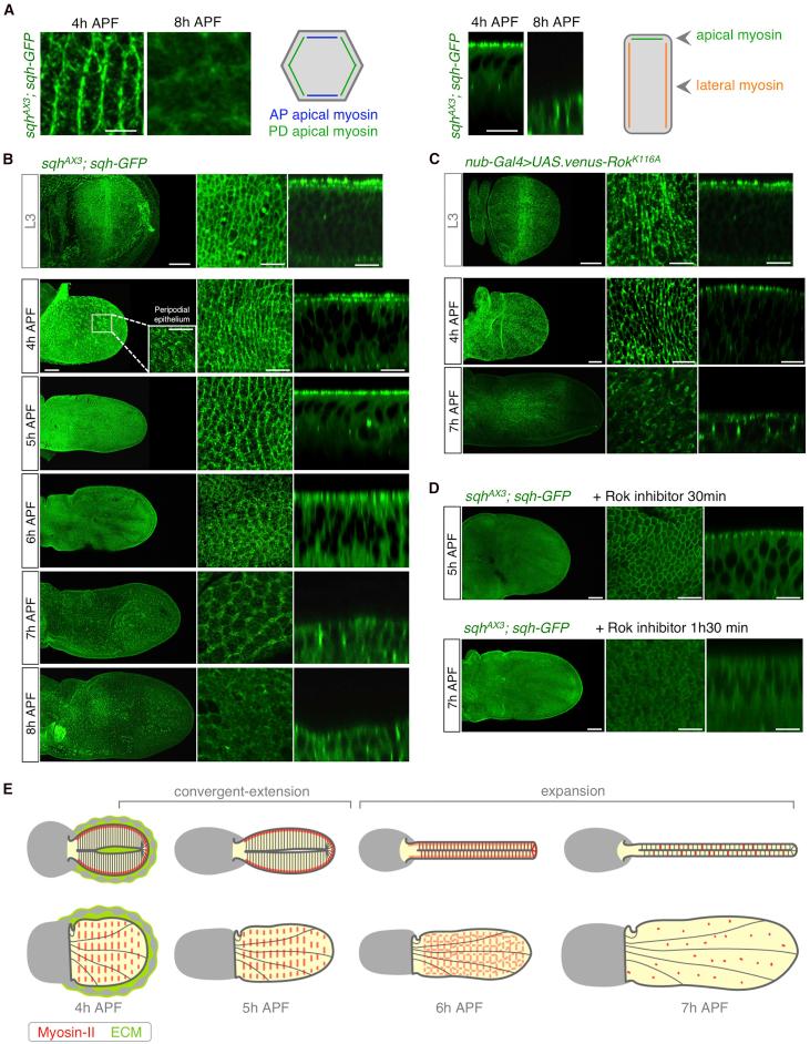 https://cdn.ncbi.nlm.nih.gov/pmc/blobs/67a3/6035286/4e3b7f97c6a2/gr4.jpg