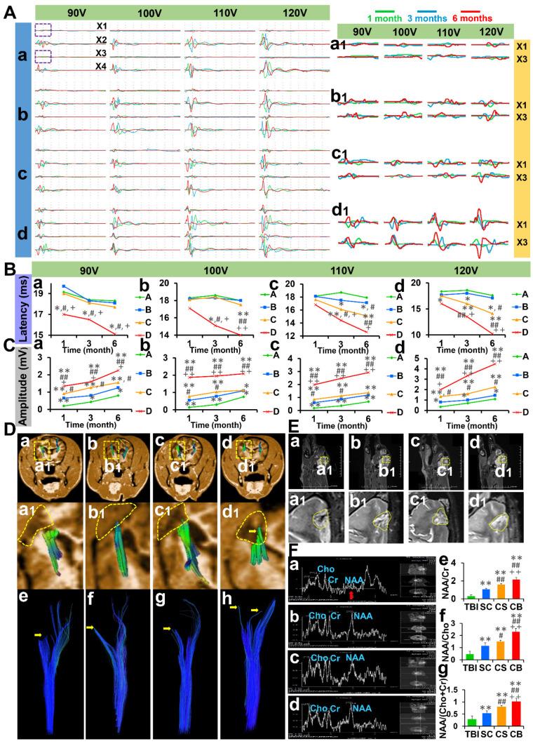 https://cdn.ncbi.nlm.nih.gov/pmc/blobs/67a4/7738861/192392e06798/thnov11p0768g004.jpg
