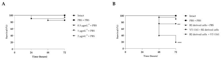 https://cdn.ncbi.nlm.nih.gov/pmc/blobs/67a5/10887314/b91e5304ed7b/biomedicines-12-00389-g005.jpg