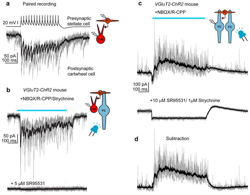 https://cdn.ncbi.nlm.nih.gov/pmc/blobs/67a8/3963432/d92074ee36c8/nihms560022f8.jpg