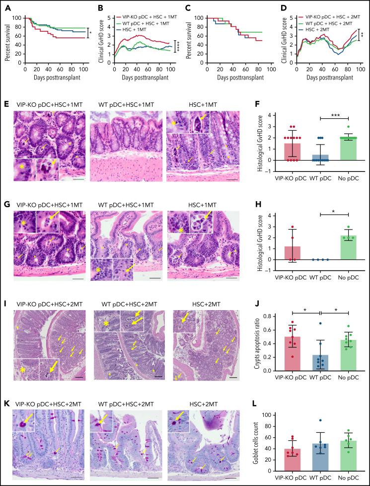 https://cdn.ncbi.nlm.nih.gov/pmc/blobs/67a9/9507007/7a8a4fb494c3/bloodBLD2021012561f5.jpg