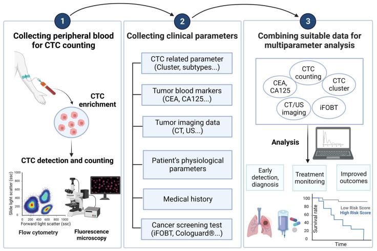 https://cdn.ncbi.nlm.nih.gov/pmc/blobs/67aa/10670359/fa7af135dc29/cancers-15-05372-g002.jpg