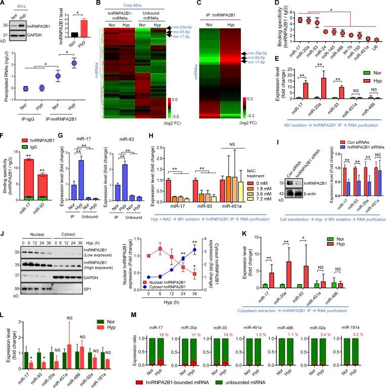 https://cdn.ncbi.nlm.nih.gov/pmc/blobs/67aa/6719430/2ba863a6ee8b/JEM_20182313_Fig2.jpg