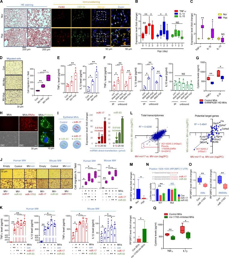 https://cdn.ncbi.nlm.nih.gov/pmc/blobs/67aa/6719430/f5a106741917/JEM_20182313_Fig8.jpg