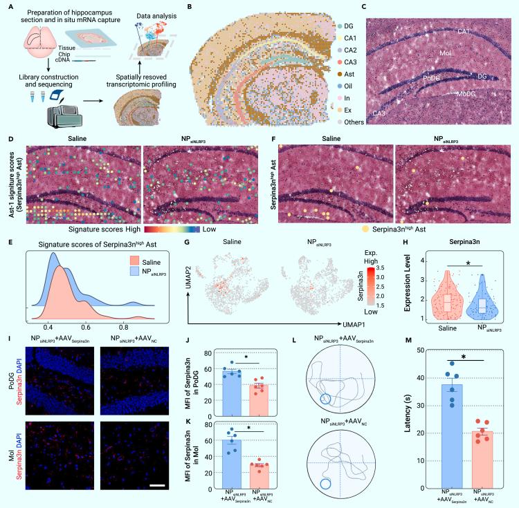 https://cdn.ncbi.nlm.nih.gov/pmc/blobs/67ad/10758991/2c40f7480fbd/gr6.jpg