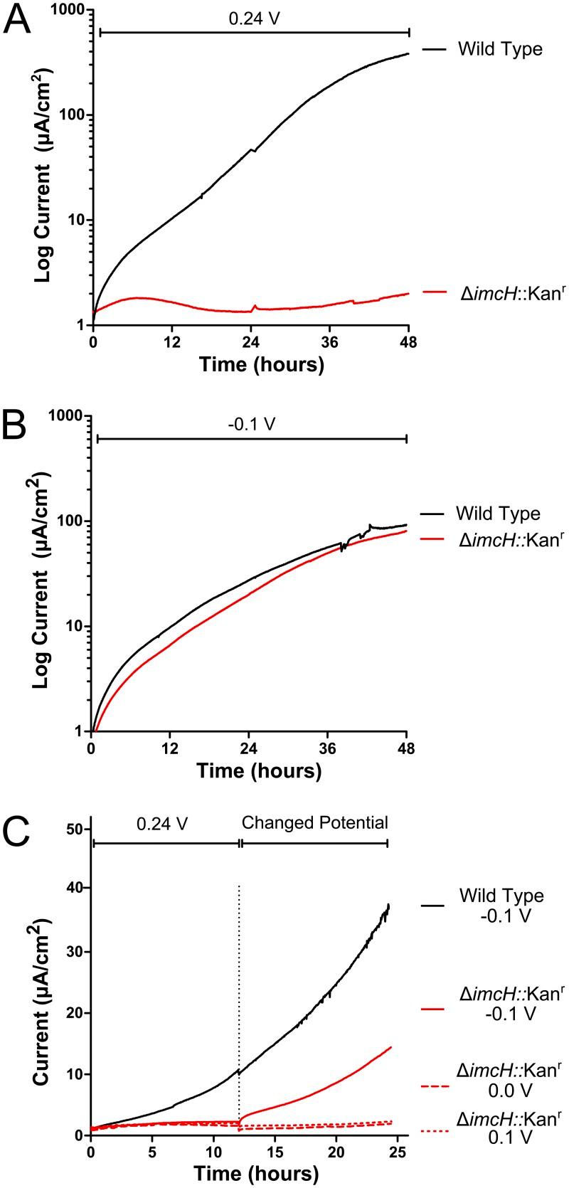 https://cdn.ncbi.nlm.nih.gov/pmc/blobs/67ad/4251993/4e915e772ad0/mbo0061420720004.jpg