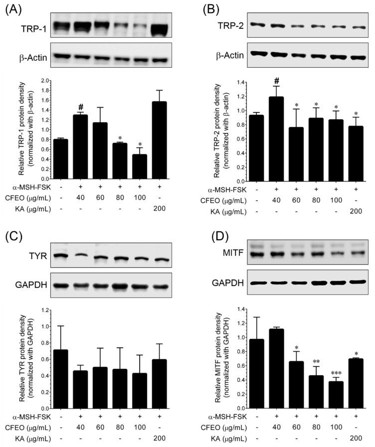 https://cdn.ncbi.nlm.nih.gov/pmc/blobs/67ad/8747218/bb4a51290140/plants-11-00062-g003.jpg