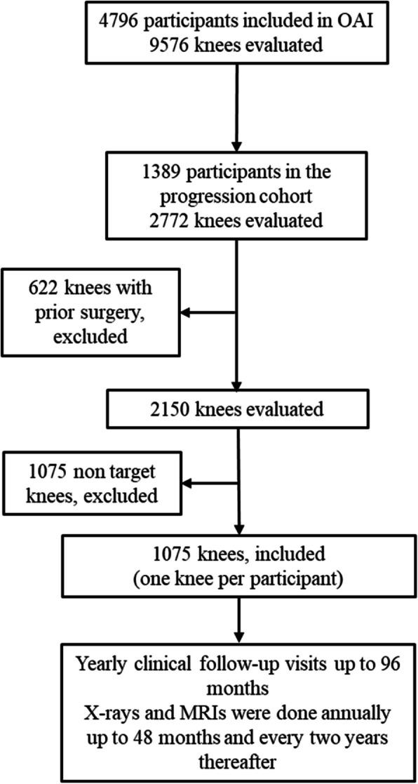 https://cdn.ncbi.nlm.nih.gov/pmc/blobs/67b0/12034180/cf011a0b2ef4/13075_2025_3513_Fig1_HTML.jpg