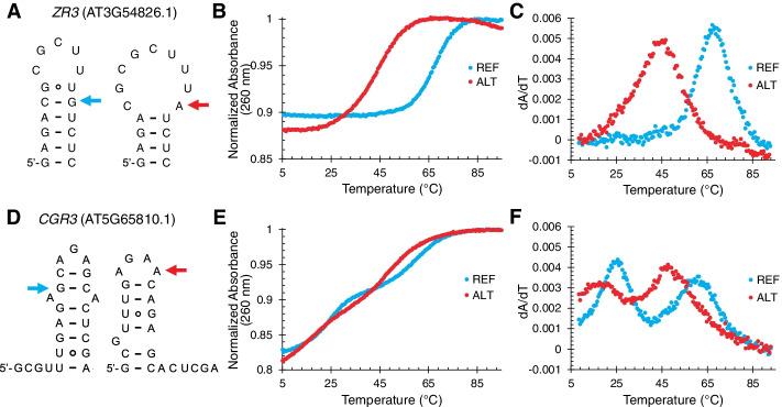https://cdn.ncbi.nlm.nih.gov/pmc/blobs/67b0/9020114/f8fc3686e374/13059_2022_2656_Fig3_HTML.jpg