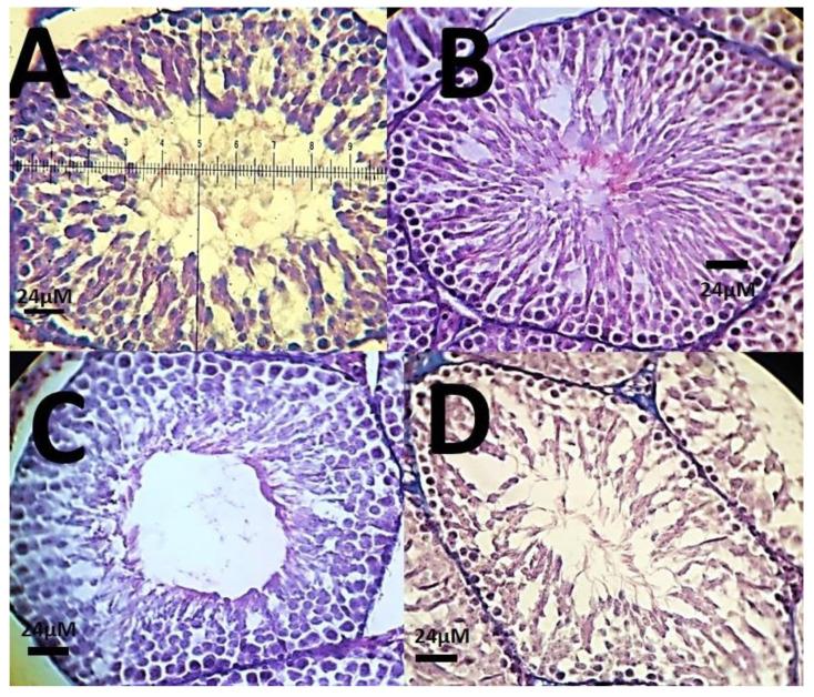 https://cdn.ncbi.nlm.nih.gov/pmc/blobs/67b1/7915467/be5f83f83414/materials-14-00825-g013.jpg