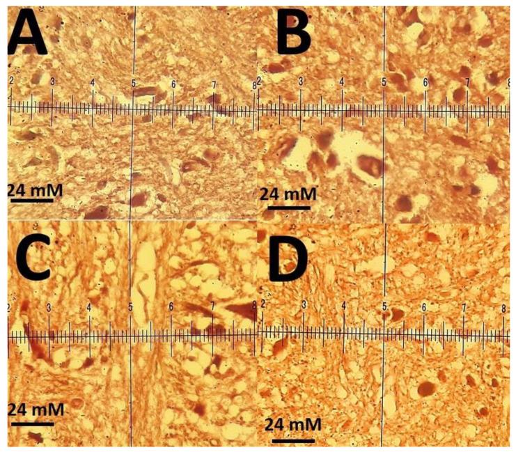 https://cdn.ncbi.nlm.nih.gov/pmc/blobs/67b1/7915467/cbce5a451915/materials-14-00825-g014.jpg
