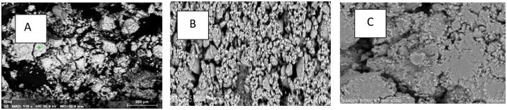 https://cdn.ncbi.nlm.nih.gov/pmc/blobs/67b5/8136633/f55a3c2a02b2/pone.0251009.g021.jpg