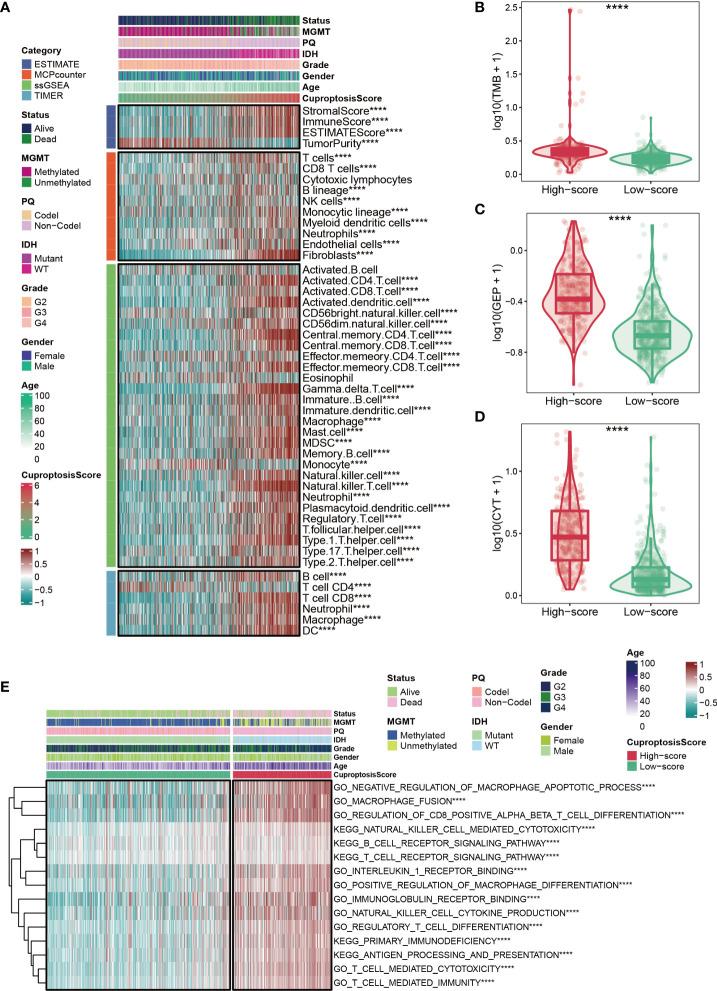 https://cdn.ncbi.nlm.nih.gov/pmc/blobs/67b6/9468372/1a16325ae1f0/fimmu-13-998236-g005.jpg
