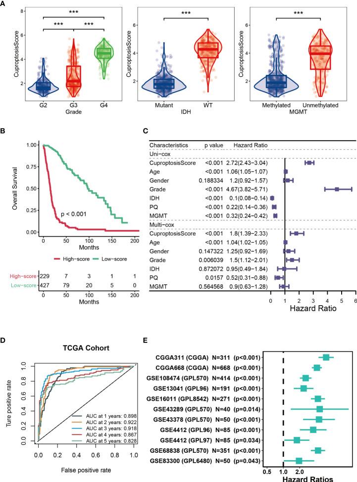 https://cdn.ncbi.nlm.nih.gov/pmc/blobs/67b6/9468372/7840aec85e89/fimmu-13-998236-g003.jpg