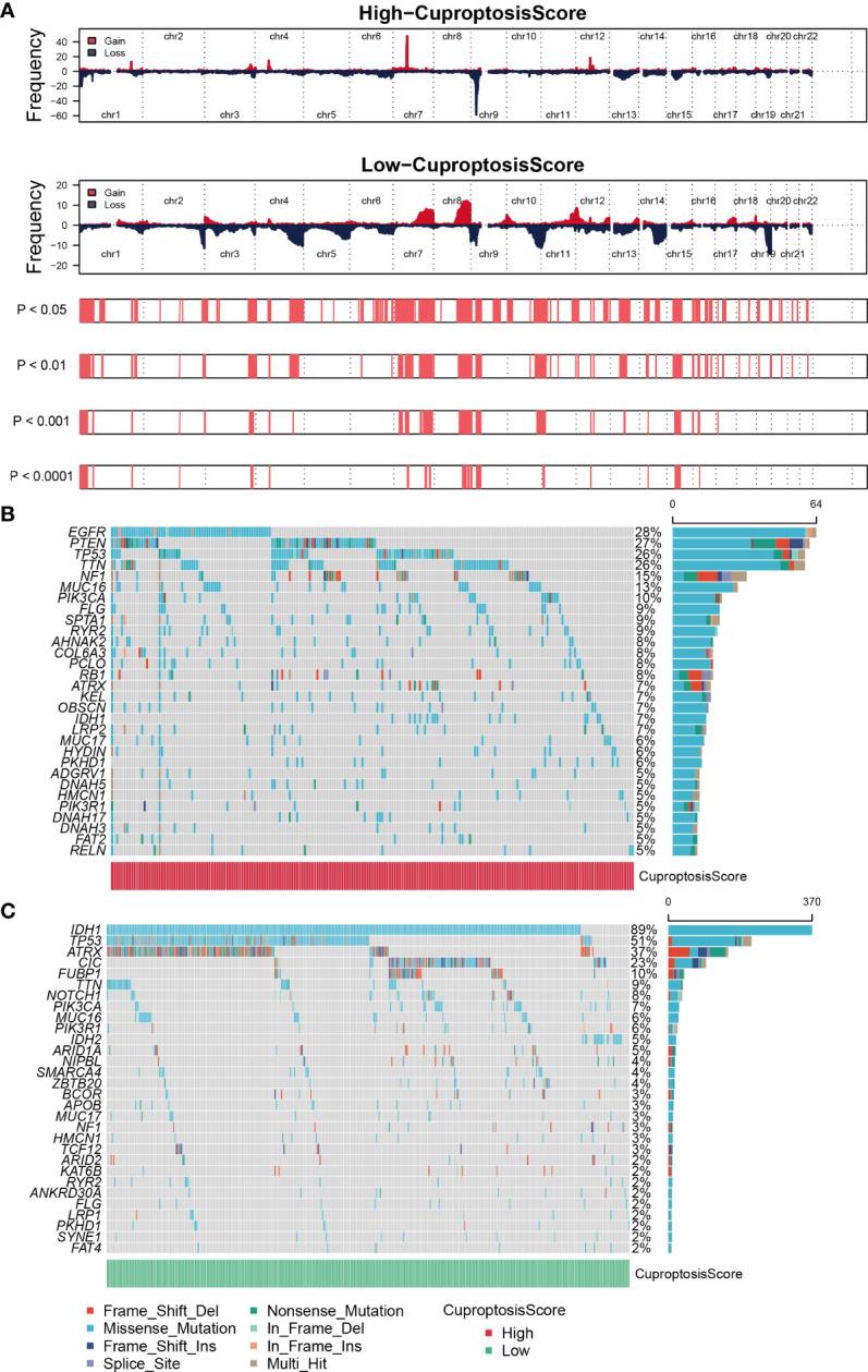 https://cdn.ncbi.nlm.nih.gov/pmc/blobs/67b6/9468372/92f316e5f006/fimmu-13-998236-g004.jpg