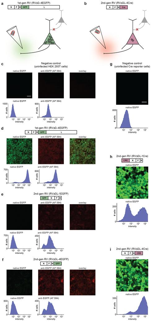 https://cdn.ncbi.nlm.nih.gov/pmc/blobs/67b7/6503322/a48743181784/nihms-936298-f0001.jpg