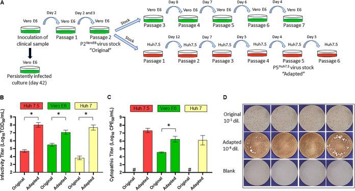https://cdn.ncbi.nlm.nih.gov/pmc/blobs/67b7/8406809/07deb71a770d/aac.00097-21-f001.jpg