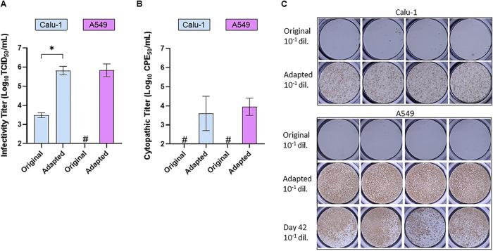 https://cdn.ncbi.nlm.nih.gov/pmc/blobs/67b7/8406809/b6cc98ba1a36/aac.00097-21-f002.jpg