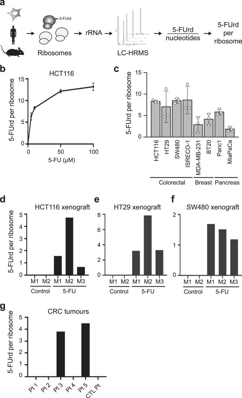 https://cdn.ncbi.nlm.nih.gov/pmc/blobs/67b7/8748862/d16fa87b6eda/41467_2021_27847_Fig2_HTML.jpg