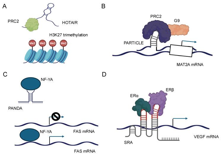 https://cdn.ncbi.nlm.nih.gov/pmc/blobs/67ba/12025117/574277d949f4/biology-14-00442-g003.jpg