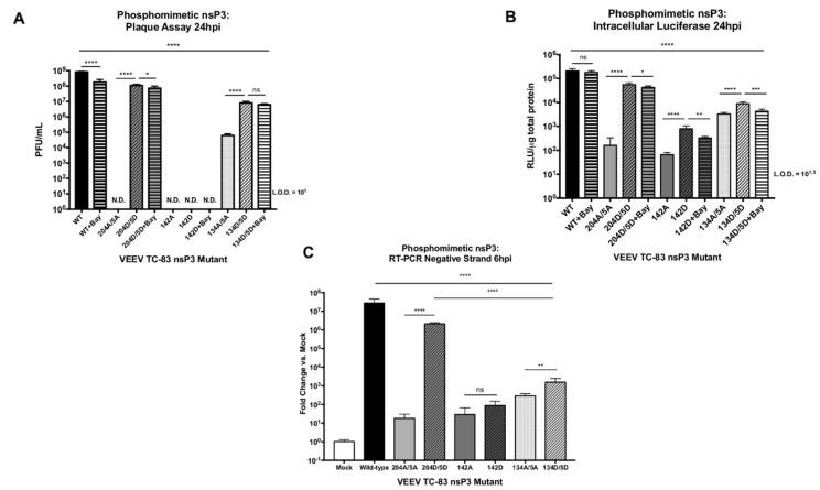 https://cdn.ncbi.nlm.nih.gov/pmc/blobs/67bd/7551587/83fa49f5150f/viruses-12-01021-g007.jpg