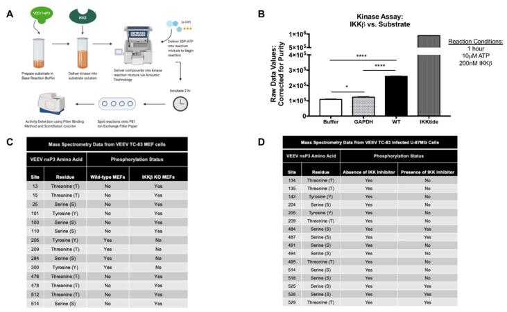 https://cdn.ncbi.nlm.nih.gov/pmc/blobs/67bd/7551587/ad84bb5244f0/viruses-12-01021-g002.jpg