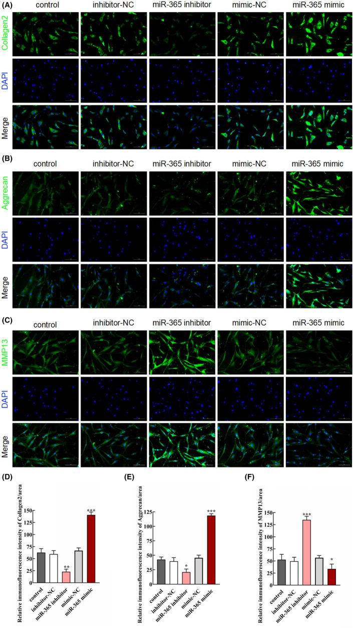 https://cdn.ncbi.nlm.nih.gov/pmc/blobs/67be/10826450/3f0232049ad8/JCMM-28-e18054-g004.jpg