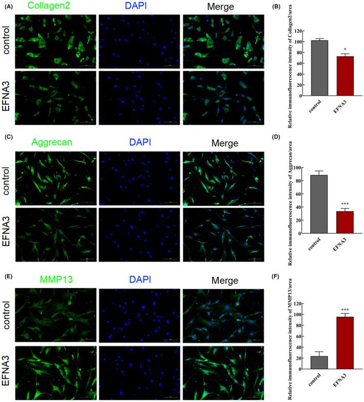https://cdn.ncbi.nlm.nih.gov/pmc/blobs/67be/10826450/f7e412482542/JCMM-28-e18054-g003.jpg