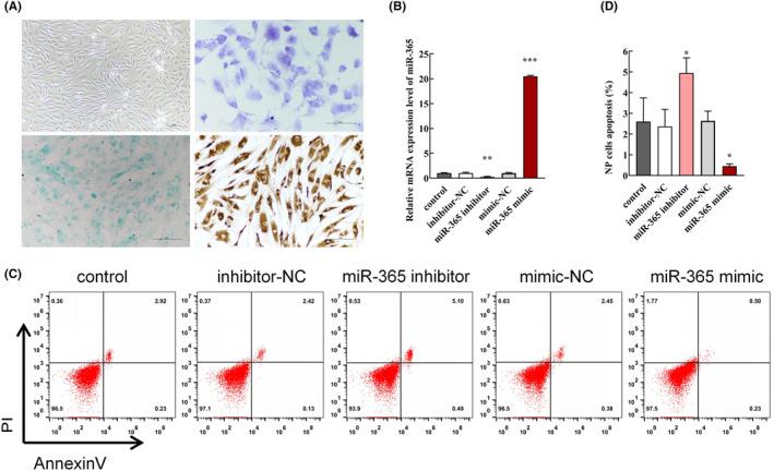 https://cdn.ncbi.nlm.nih.gov/pmc/blobs/67be/10826450/fa3a2dc288a4/JCMM-28-e18054-g006.jpg