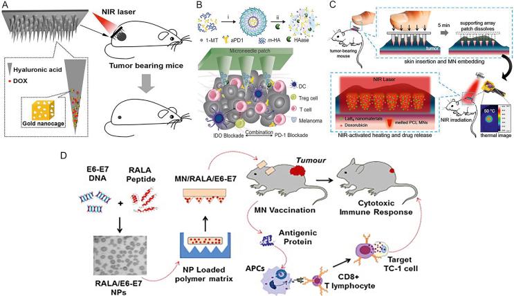 https://cdn.ncbi.nlm.nih.gov/pmc/blobs/67bf/6543086/0d834b730006/gr3.jpg