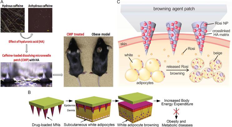 https://cdn.ncbi.nlm.nih.gov/pmc/blobs/67bf/6543086/ddcfe5c06c6a/gr5.jpg