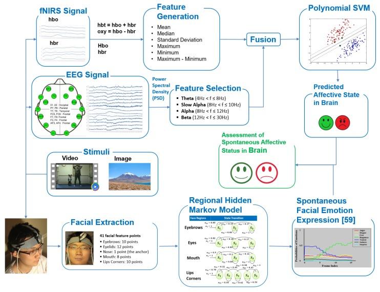 https://cdn.ncbi.nlm.nih.gov/pmc/blobs/67c3/7071625/620399353ff3/brainsci-10-00085-g001.jpg