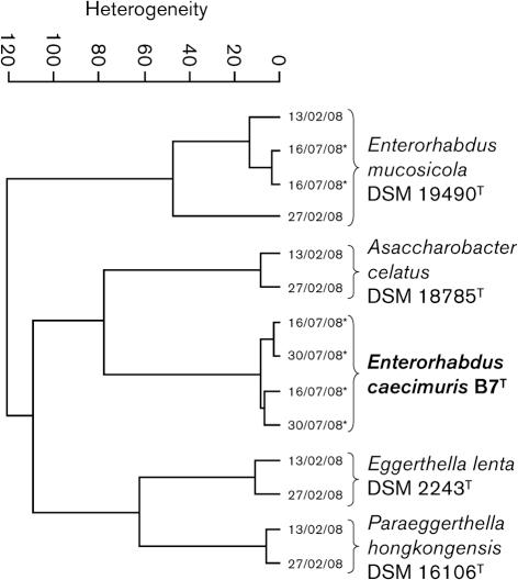 https://cdn.ncbi.nlm.nih.gov/pmc/blobs/67c4/3052451/0fb41e054fc7/1527fig2.jpg