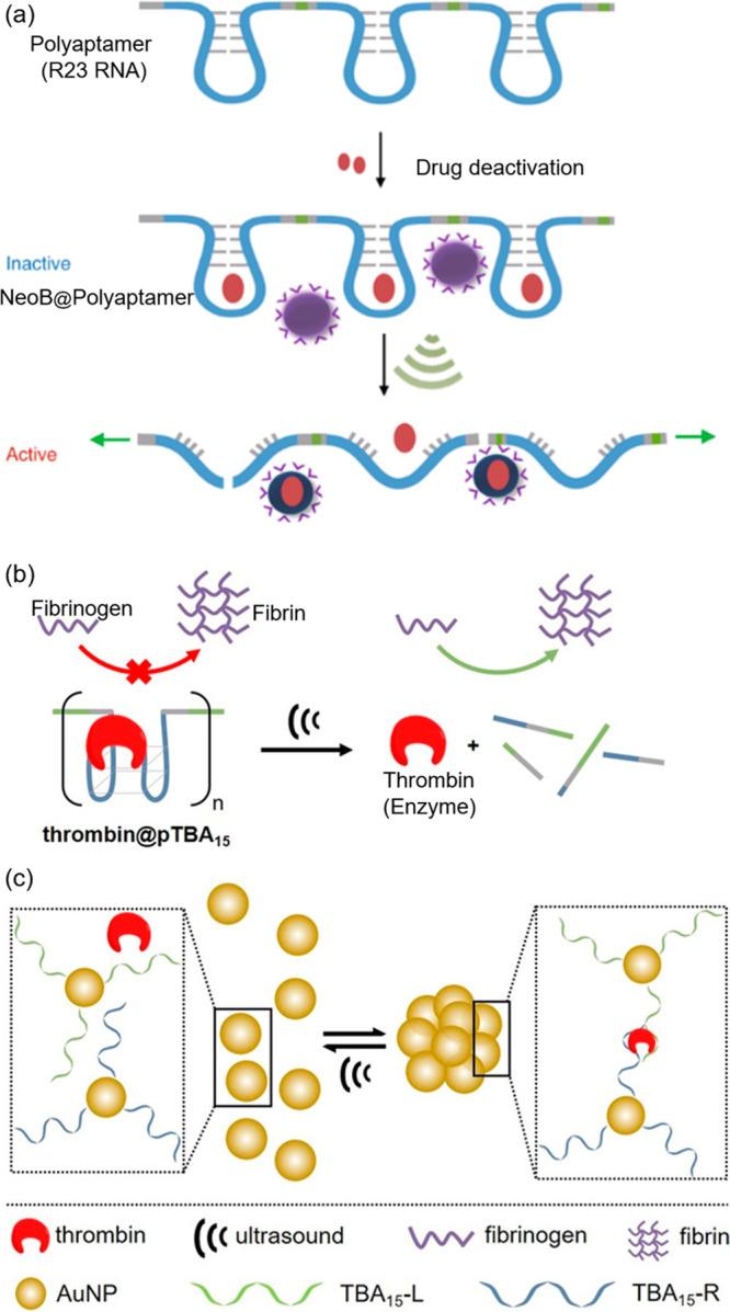 https://cdn.ncbi.nlm.nih.gov/pmc/blobs/67c5/11653258/b317dc2127e4/mt4c00150_0006.jpg