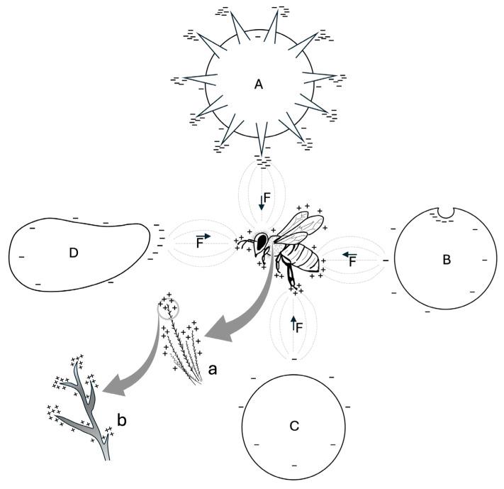 https://cdn.ncbi.nlm.nih.gov/pmc/blobs/67c5/12027818/2e527c15d248/insects-16-00373-g002.jpg