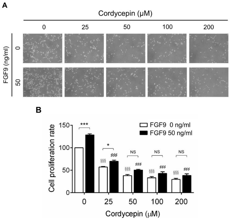 https://cdn.ncbi.nlm.nih.gov/pmc/blobs/67c9/7672634/2c491ada7e62/ijms-21-08336-g002.jpg