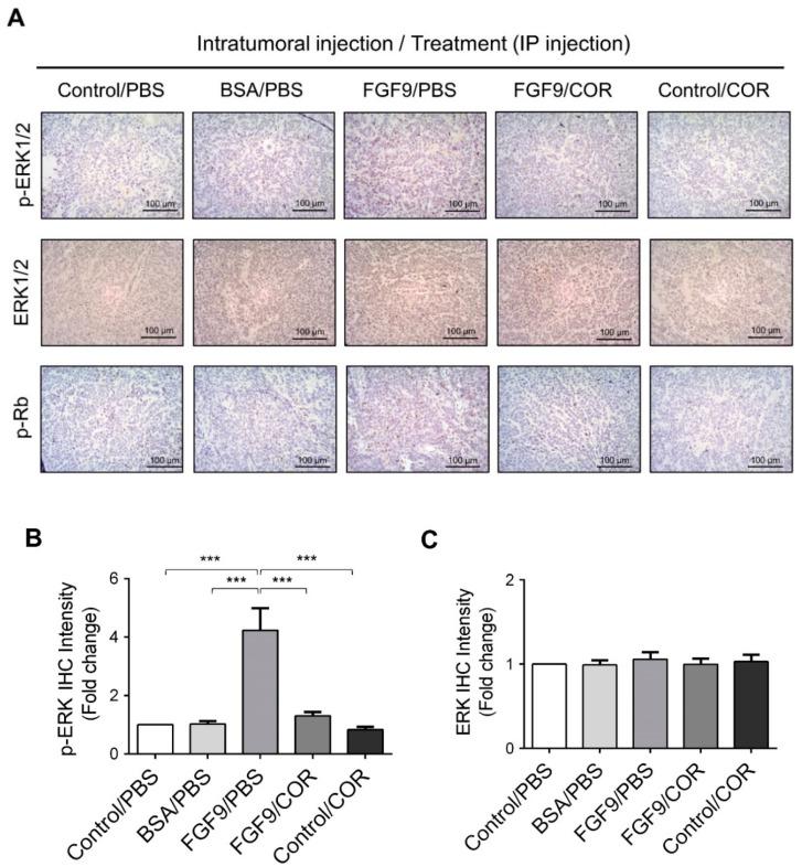 https://cdn.ncbi.nlm.nih.gov/pmc/blobs/67c9/7672634/5eef4a6d6d88/ijms-21-08336-g008a.jpg