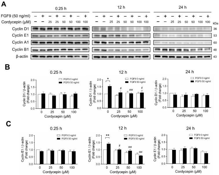 https://cdn.ncbi.nlm.nih.gov/pmc/blobs/67c9/7672634/5fb0e416e9e6/ijms-21-08336-g004a.jpg