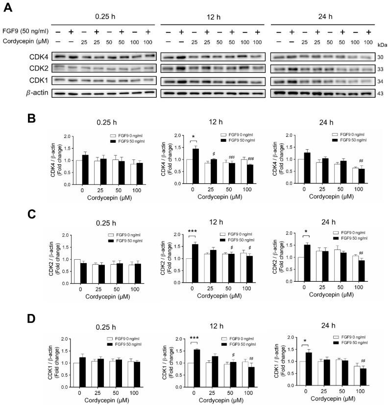 https://cdn.ncbi.nlm.nih.gov/pmc/blobs/67c9/7672634/a67d060ab770/ijms-21-08336-g005.jpg