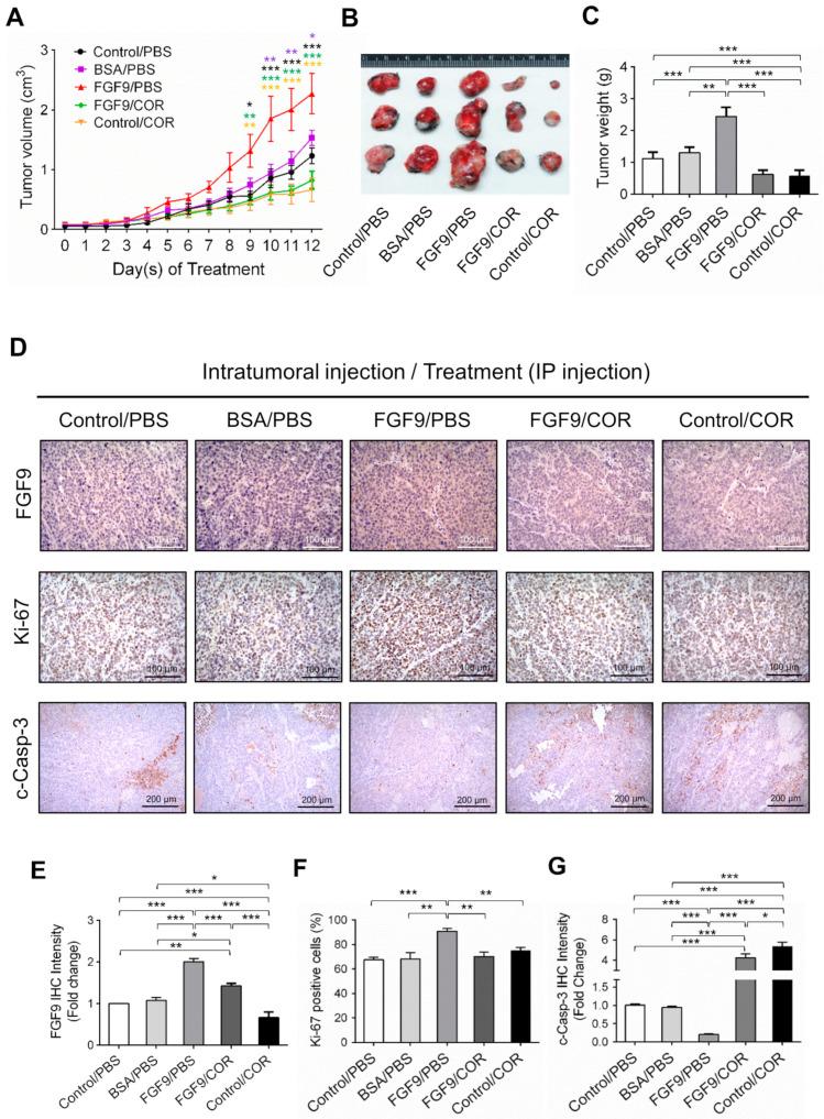 https://cdn.ncbi.nlm.nih.gov/pmc/blobs/67c9/7672634/ef2a83beecb3/ijms-21-08336-g007.jpg
