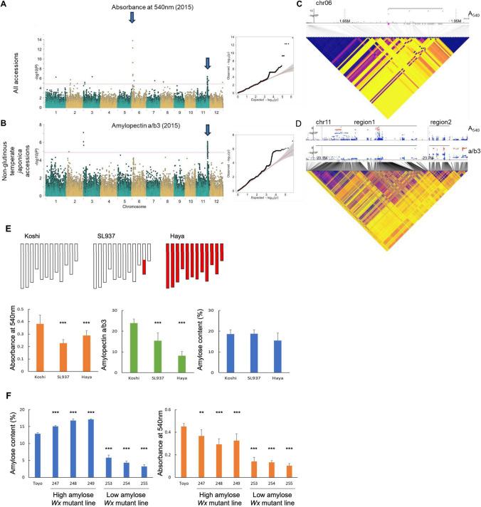 https://cdn.ncbi.nlm.nih.gov/pmc/blobs/67ca/11865119/719ff4aee981/122_2025_4850_Fig2_HTML.jpg