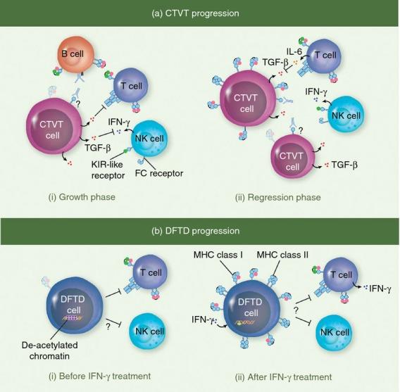 https://cdn.ncbi.nlm.nih.gov/pmc/blobs/67cc/4264906/7e80822ee565/imm0144-0011-f2.jpg